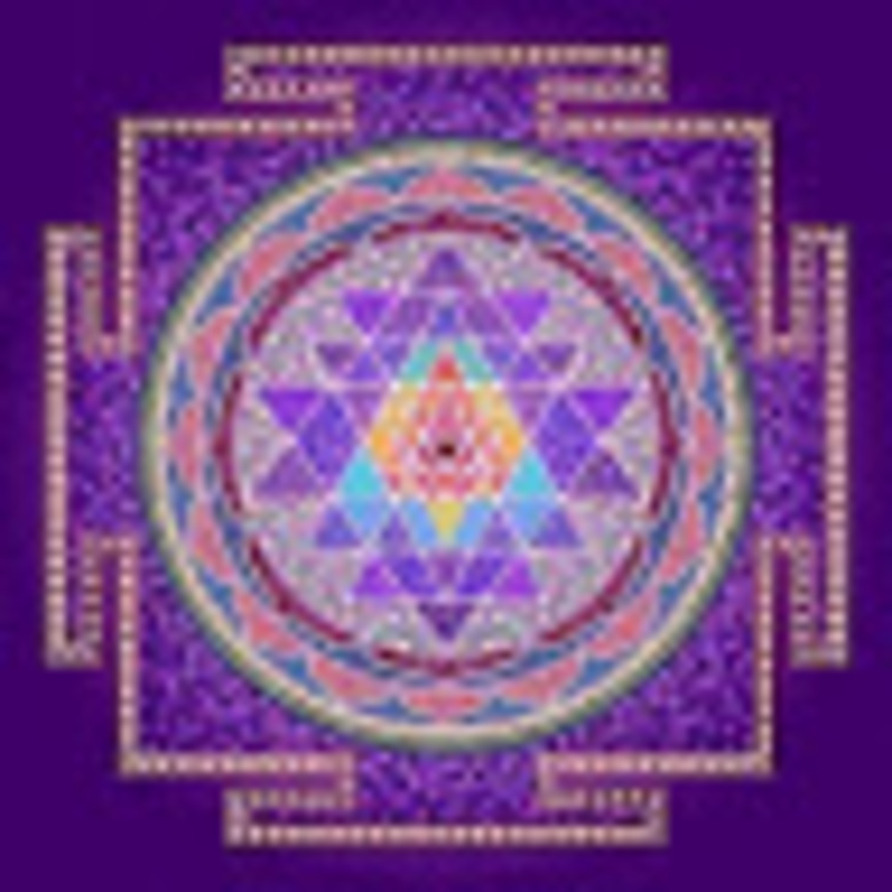 Meet your Posher, Velvet Luxe